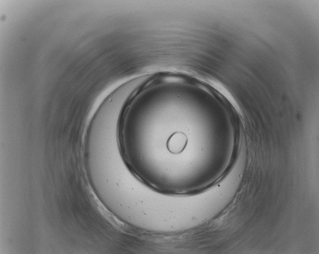 X0000061751148200512091629