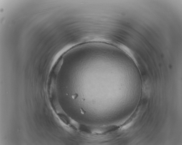 X0000061751149200512091629