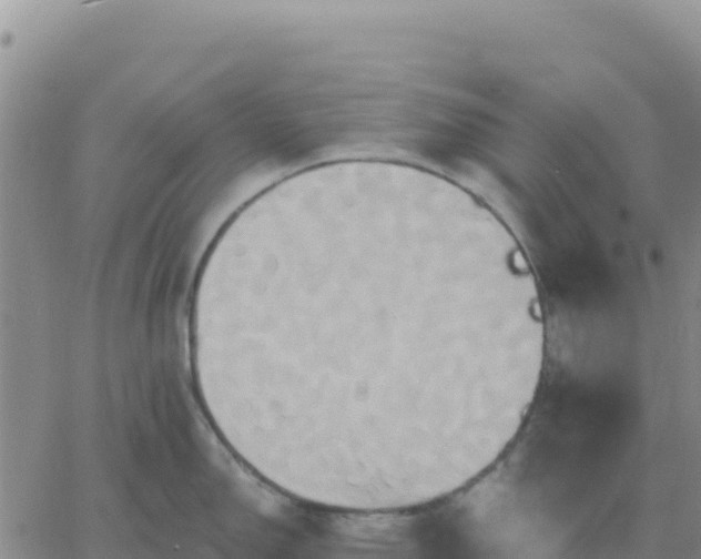 X0000061751150200512091629