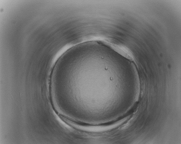 X0000061751151200512091629