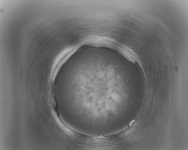 X0000061751152200512091629