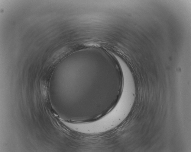 X0000061751154200512091628