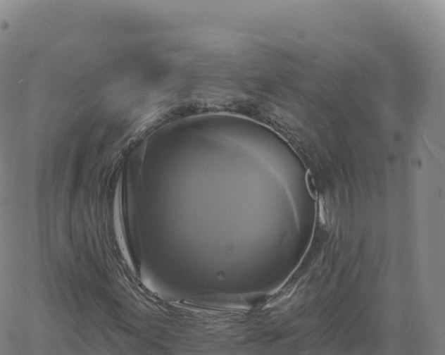 X0000061751155200512091628