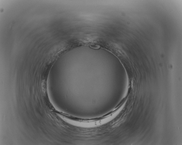 X0000061751156200512091628