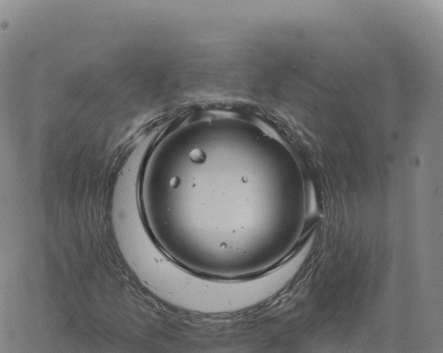 X0000061751157200512091628