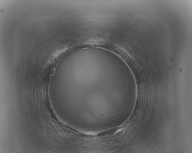 X0000061751158200512091628