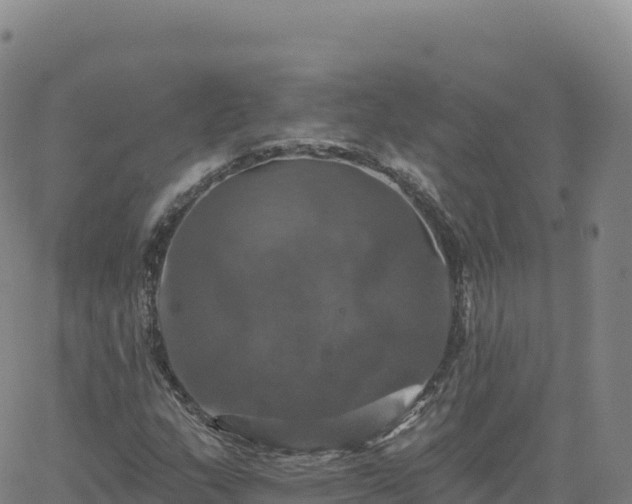 X0000061751159200512091628