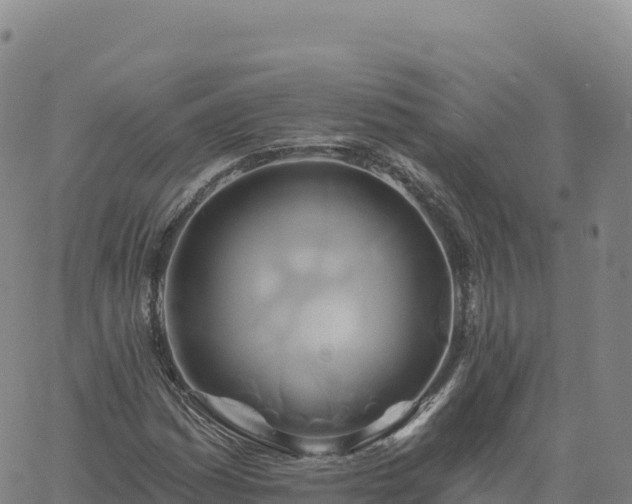 X0000061751161200512091628