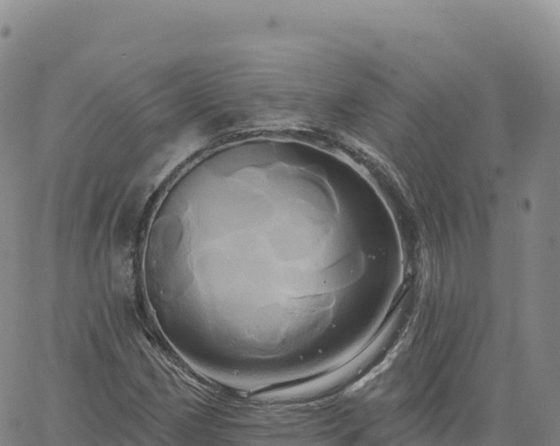 X0000061751162200512091628