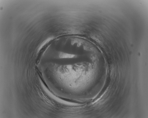 X0000061751163200512091628