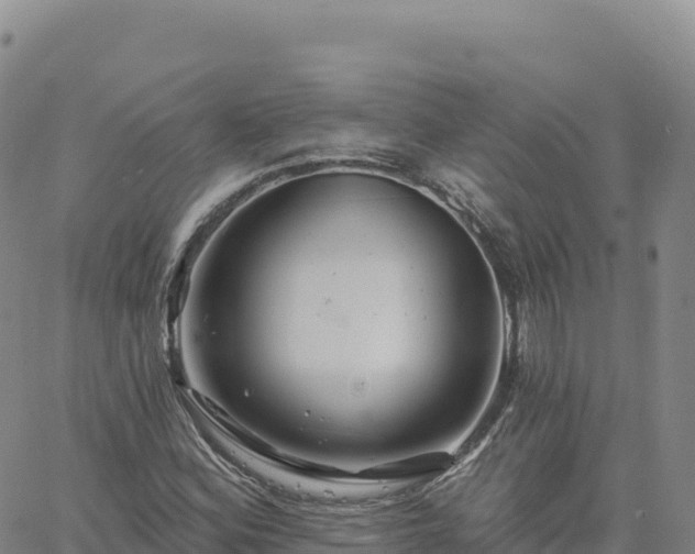 X0000061751164200512091628