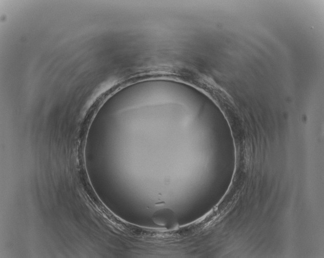 X0000061751166200512091628