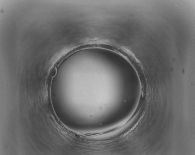 X0000061751167200512091628