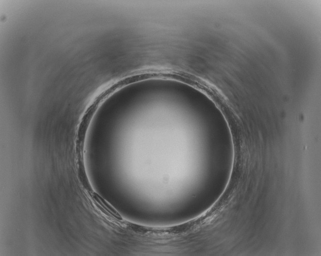 X0000061751168200512091628