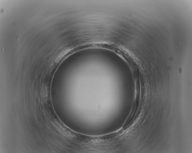 X0000061751169200512091628