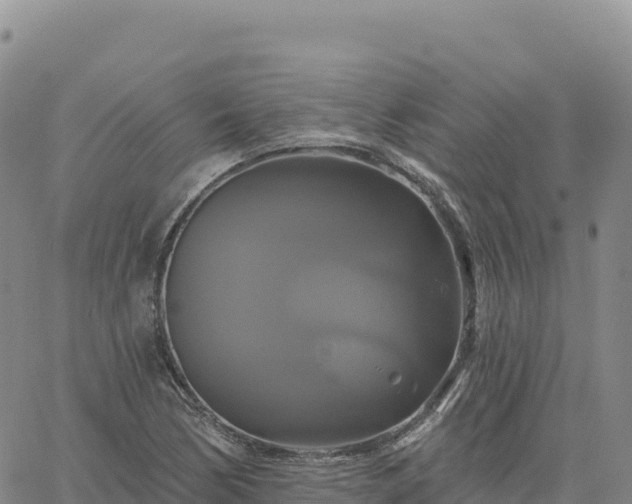 X0000061751170200512091628