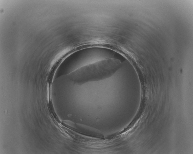 X0000061751171200512091628