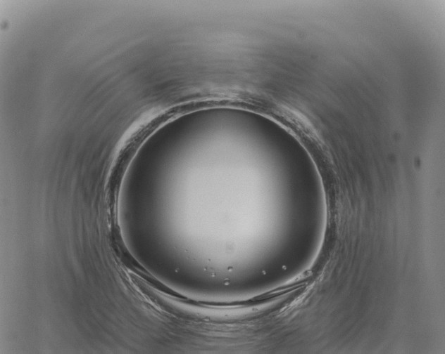 X0000061751172200512091628