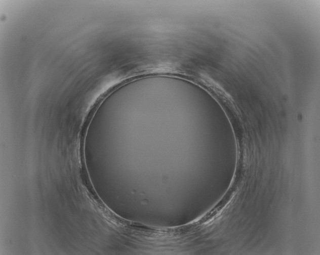 X0000061751174200512091628