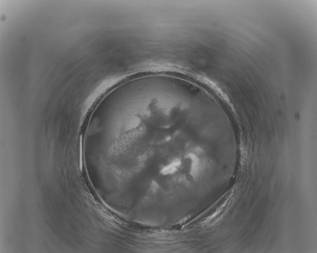 X0000061751175200512091628