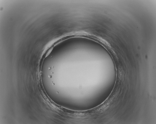 X0000061751176200512091628