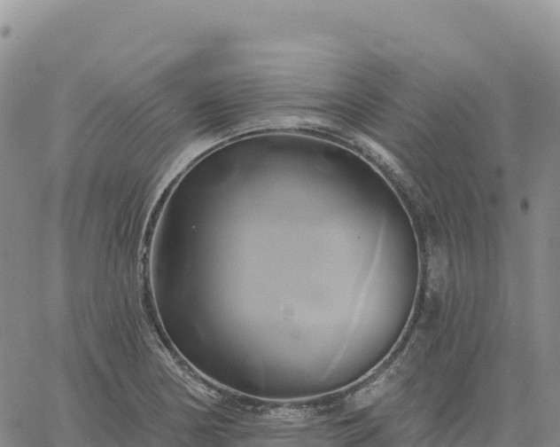 X0000061751178200512091628