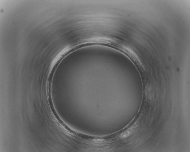 X0000061751180200512091628