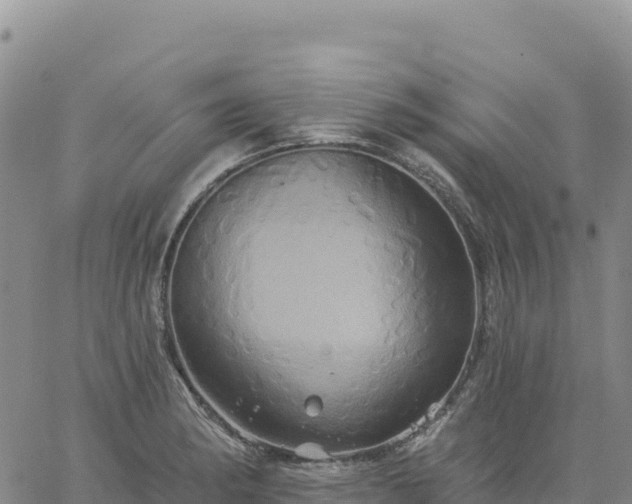 X0000061751182200512091628