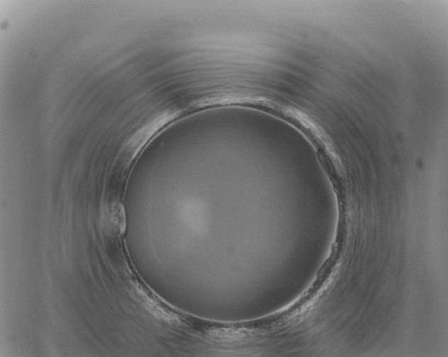 X0000061751185200512091628