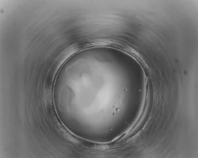 X0000061751186200512091628