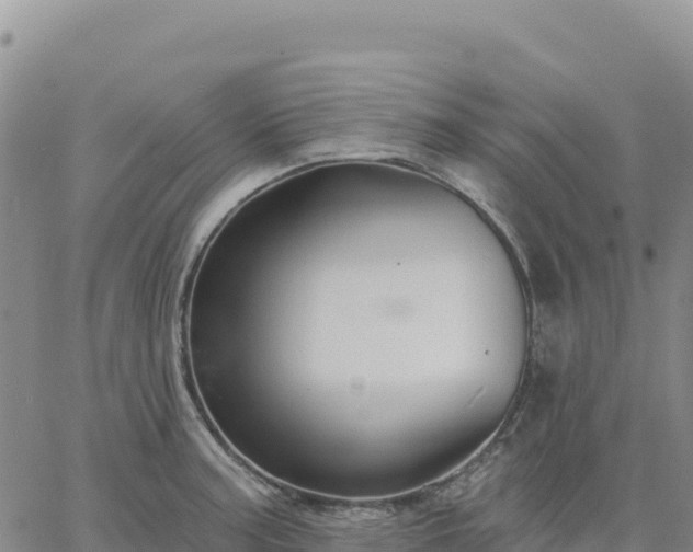 X0000061751187200512091628