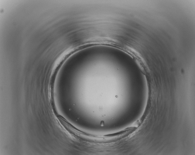 X0000061751188200512091628