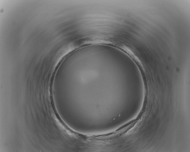 X0000061751189200512091628