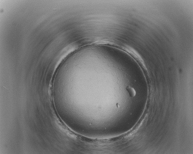 X0000061751190200512091628