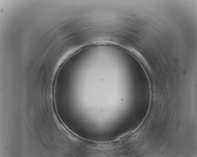 X0000061751191200512091628