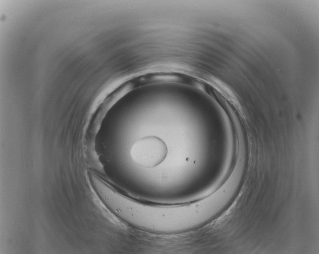 X0000061751192200512091628