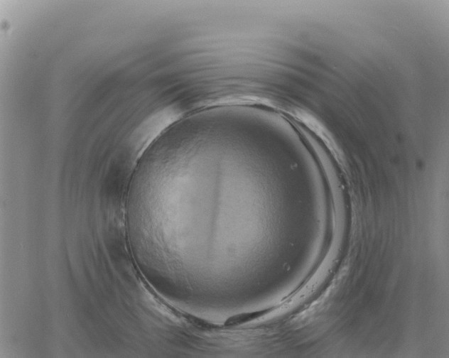 X0000061751193200512091628