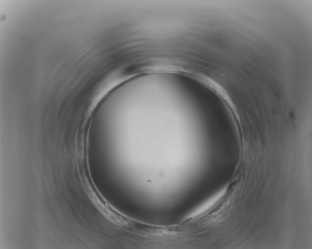 X0000061751195200512091628