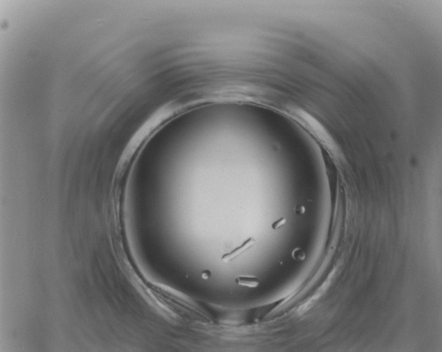 X0000061751196200512091628