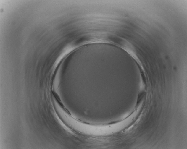 X0000061751197200512091628