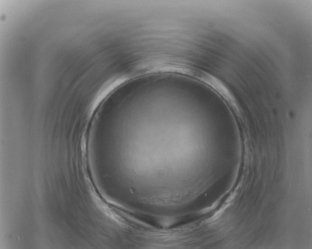 X0000061751198200512091628