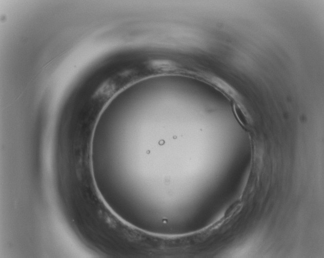 X0000061751199200512091628