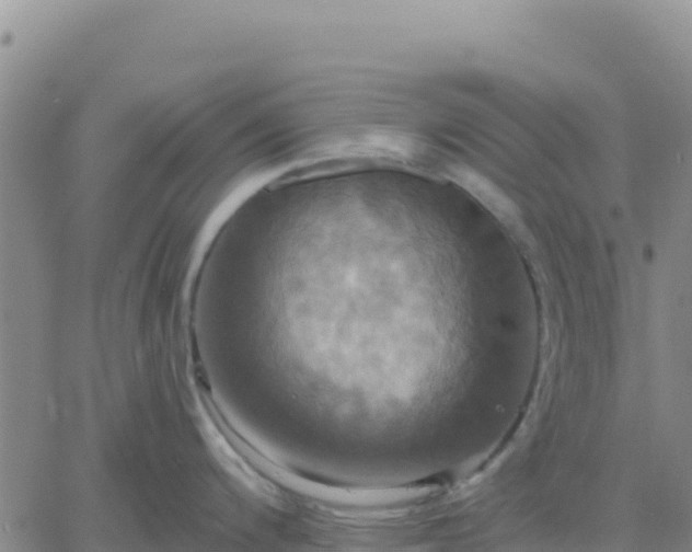 X0000061751200200512091628