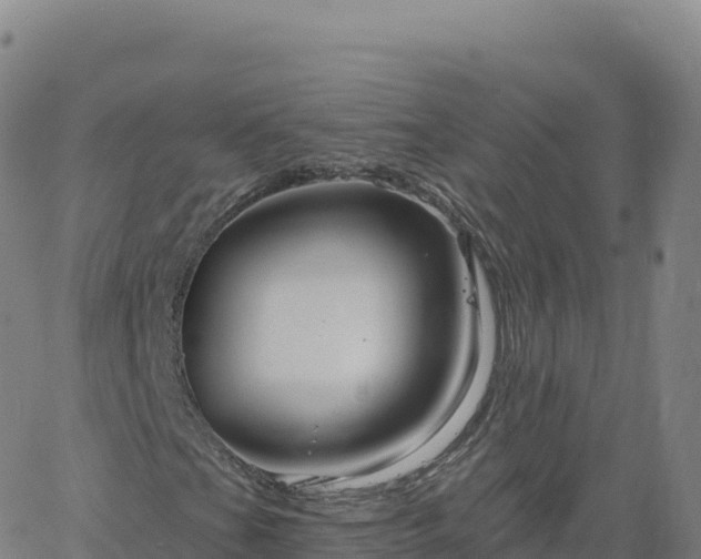 X0000061751201200512091627