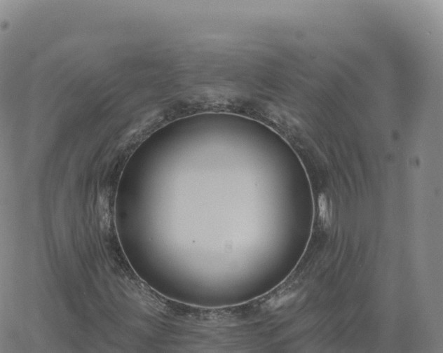 X0000061751203200512091627