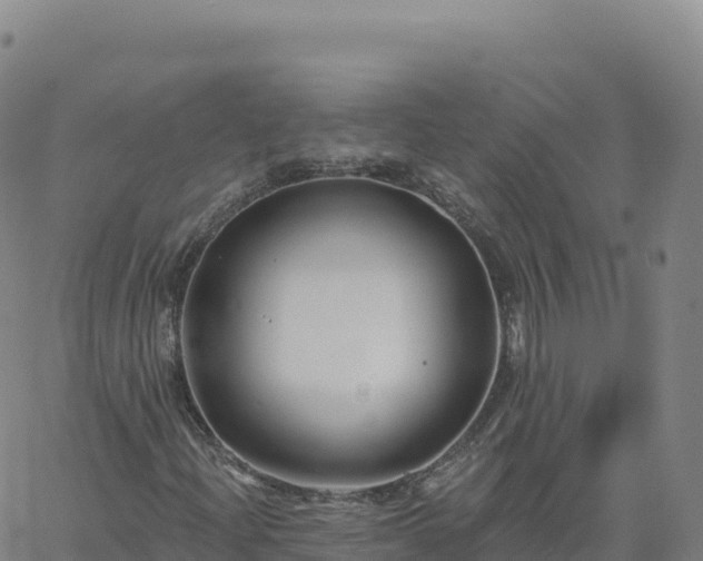 X0000061751204200512091627