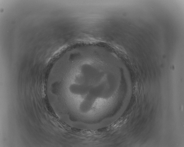 X0000061751205200512091627