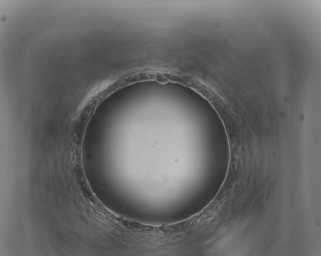 X0000061751207200512091627