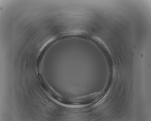 X0000061751210200512091627