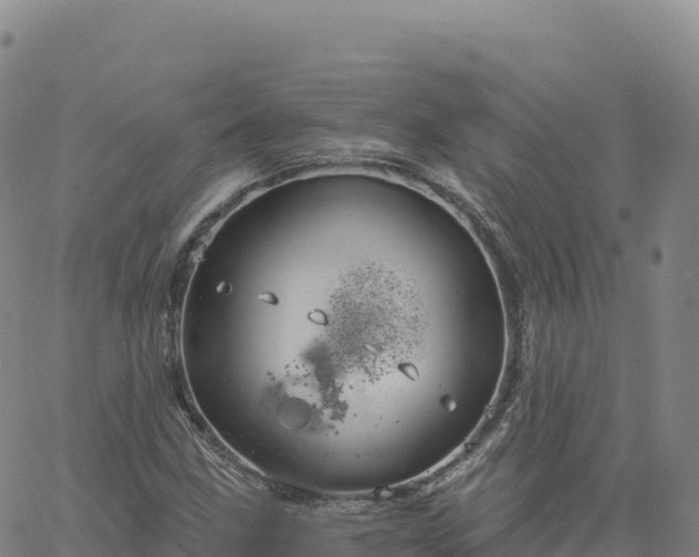 X0000061751211200512091627